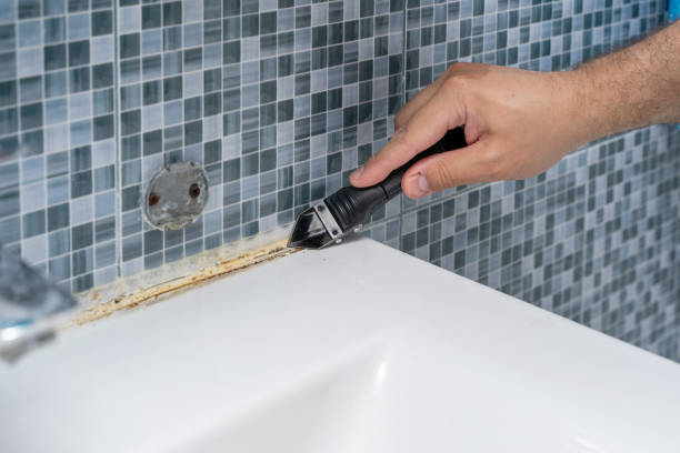 Best Mold Removal Company Near Me  in Brazil, IN